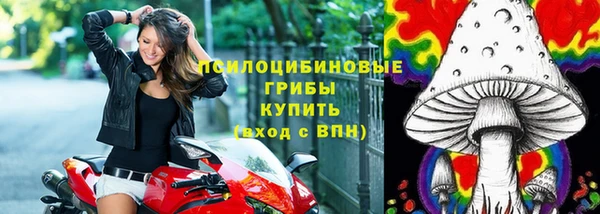 амф Алексеевка