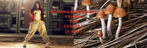 амф Алексеевка